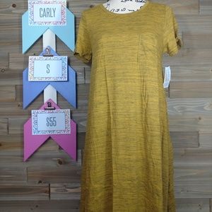 LuLaRoe Small Carly dress